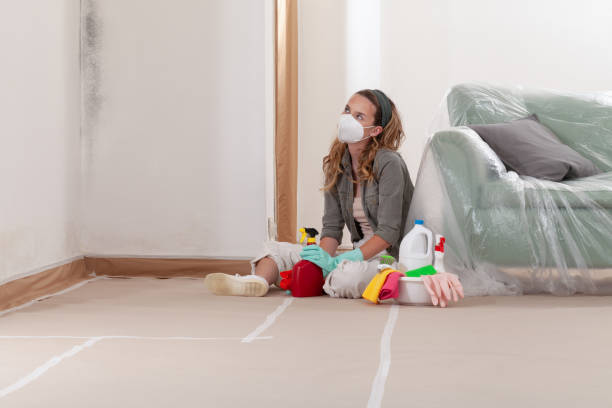 Reliable Crawl Space Mold Remediation contractor in Lake Hopatcong, NJ by 24 Hour Mold Removal